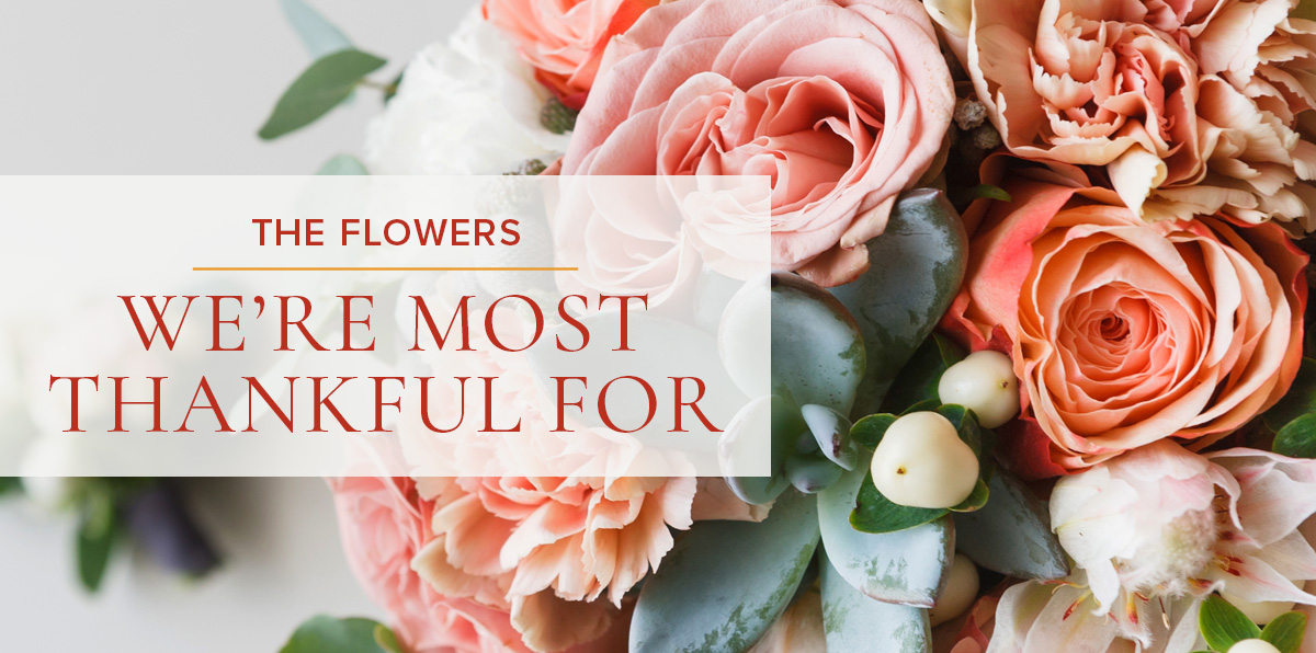 5 Amazing Flowers We're Thankful For - Shotwell Floral