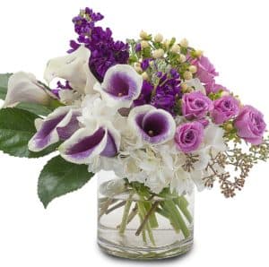 Radiant purple orchids, calla lilies, stock and spray roses are a perfect combination to stun that special someone.